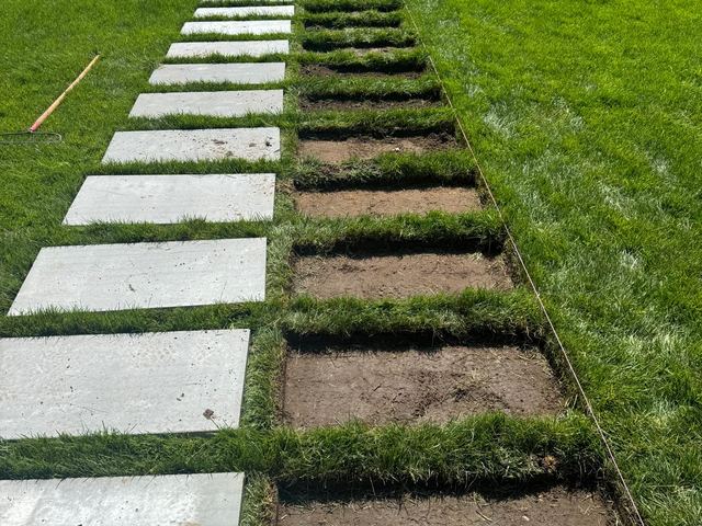 Bluestone stepping stones being set into a new lawn