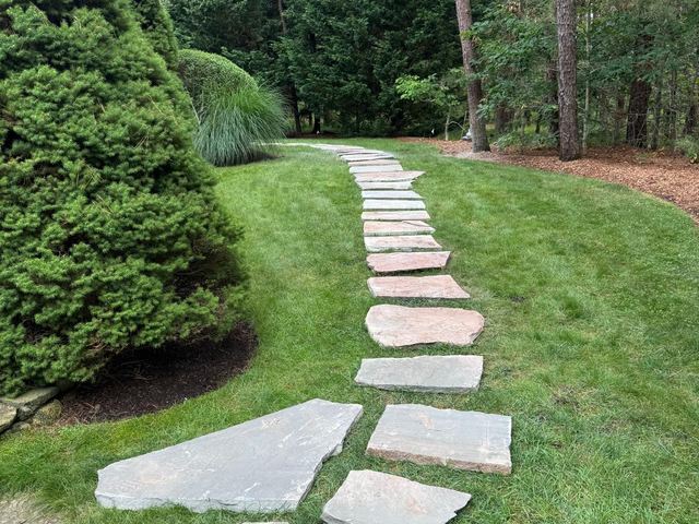 Flagstone stepping stones through a lawn past evergreens