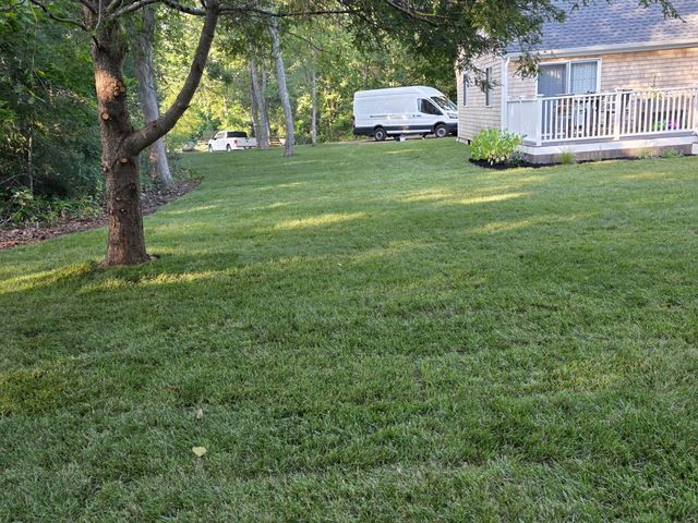 Finished sod lawn in front of the house