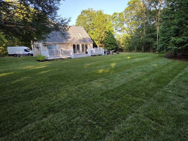 New sod lawn across the backyard