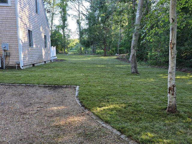 New sod next to a gravel driveway