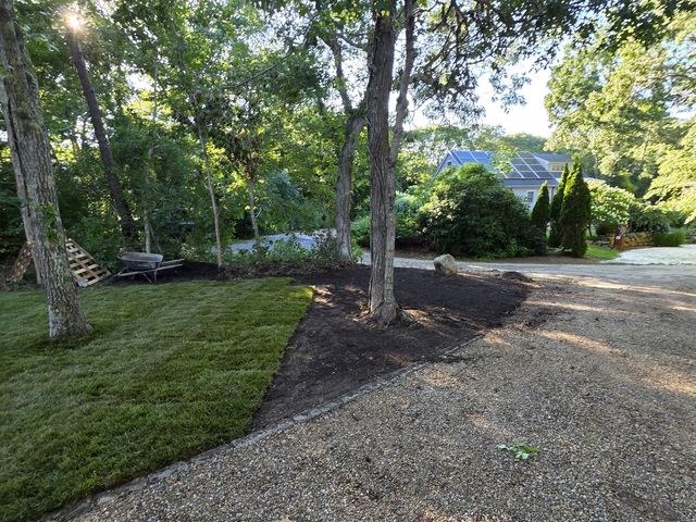 Sod lawn edged along the driveway