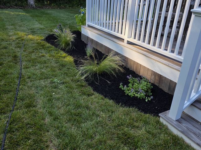 Mulched planting bed along the deck