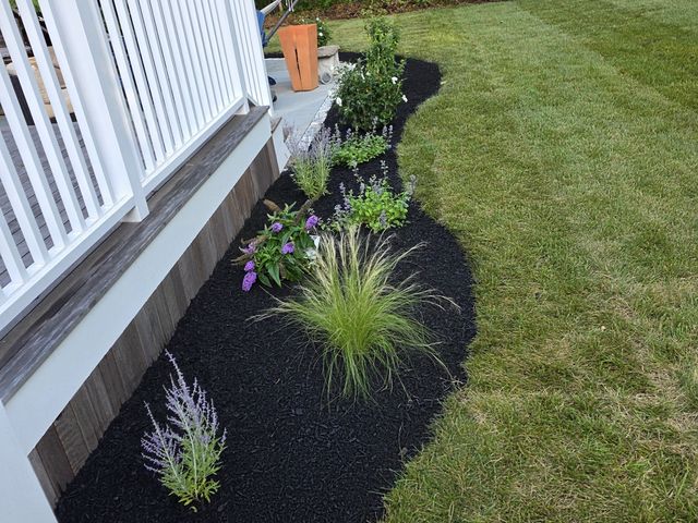 New plantings beside the deck stairs