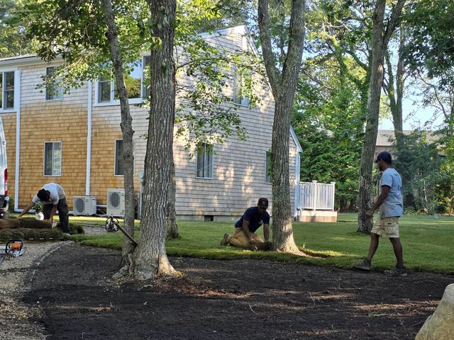 Crew prepping soil near the trees